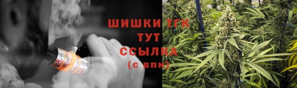 молекула духа Богородицк