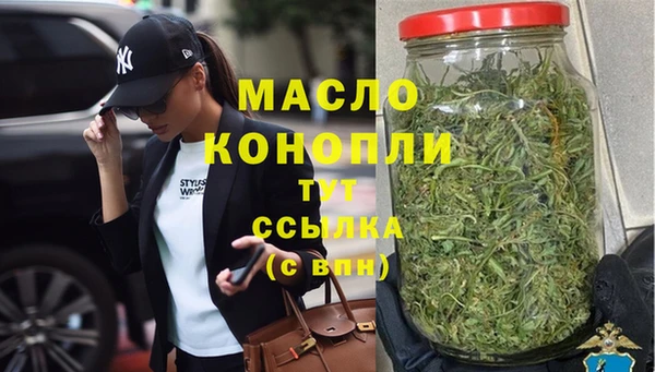 молекула духа Богородицк