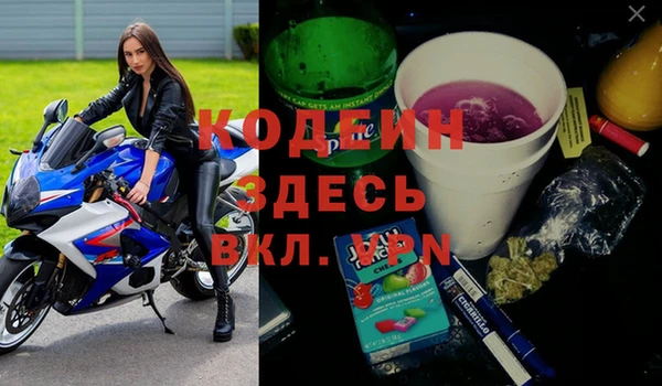 молекула духа Богородицк