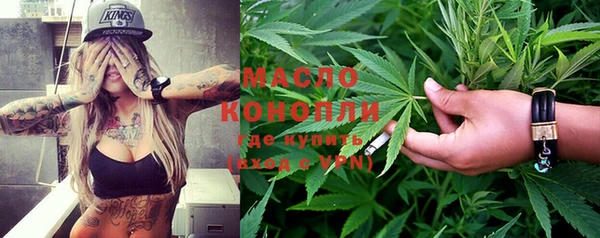 молекула духа Богородицк