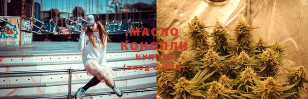 молекула духа Богородицк