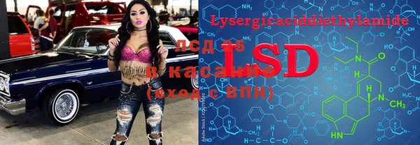 молекула духа Богородицк