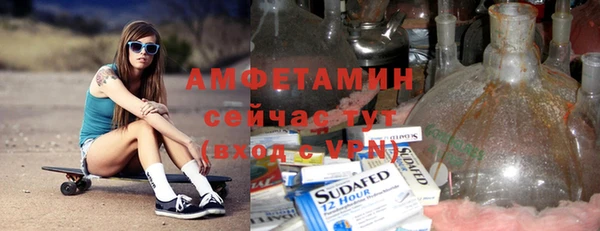 молекула духа Богородицк