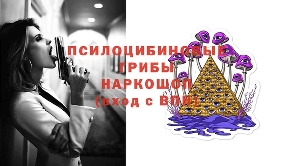 молекула духа Богородицк