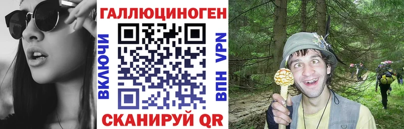 Купить где  Серов  Псилоцибиновые грибы мицелий 